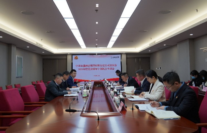 尊龙集团党委书记、董事长任丁出席安逸酒店集团2022年度党员领导干部民主生活会